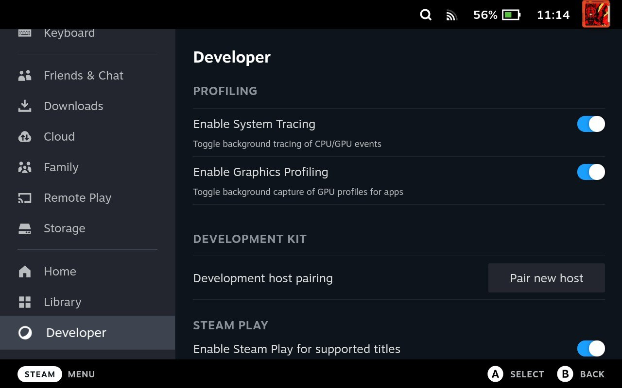 Steam Deck Developer Settings